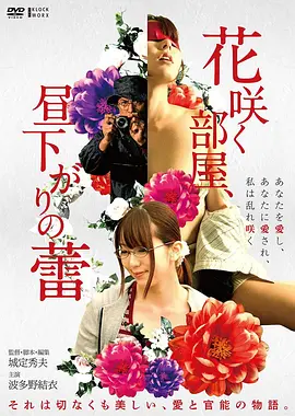 花样年华 电影海报